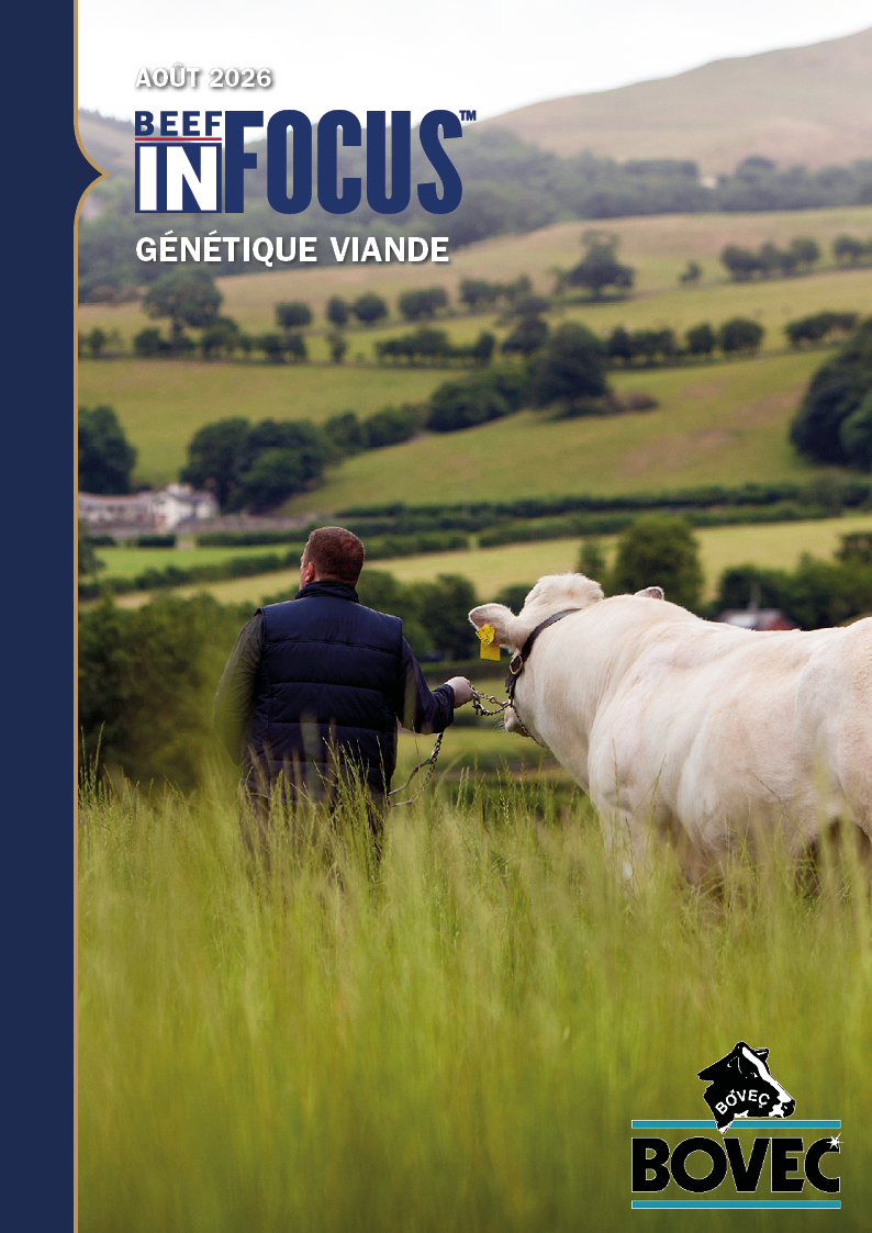 Catalogue Beef Août 2026
