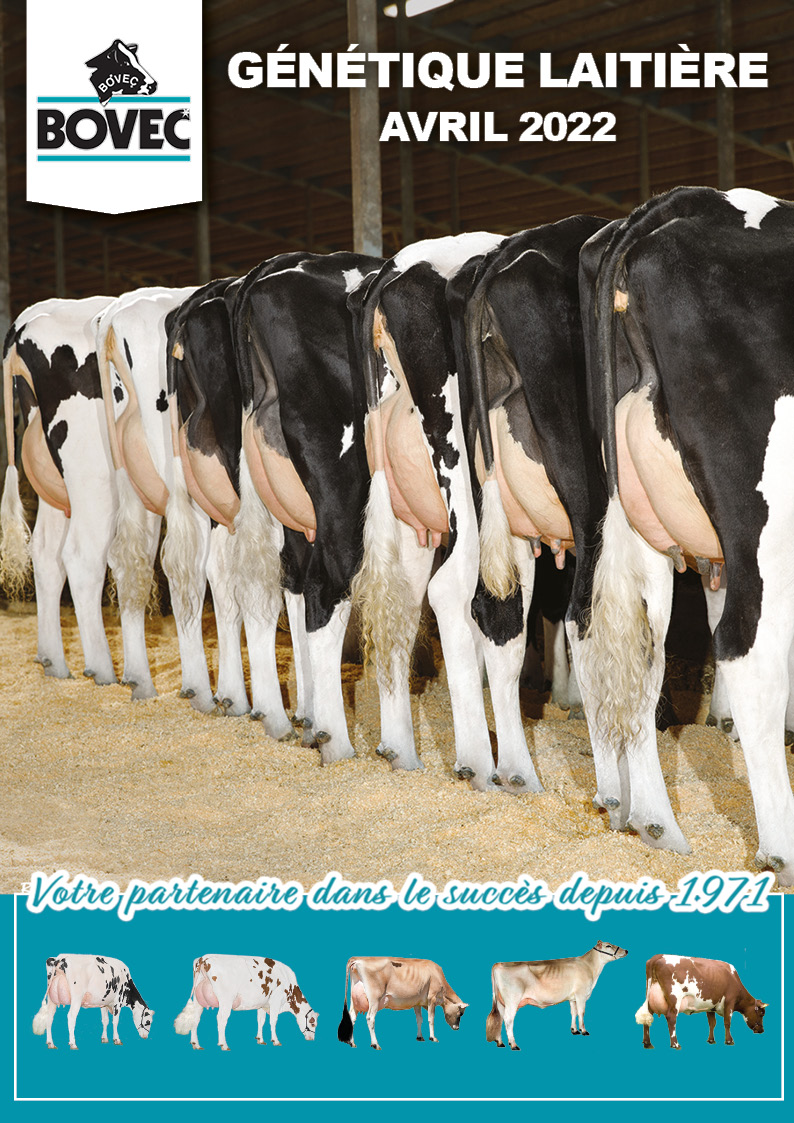 Catalogue Dairy Avril 2022