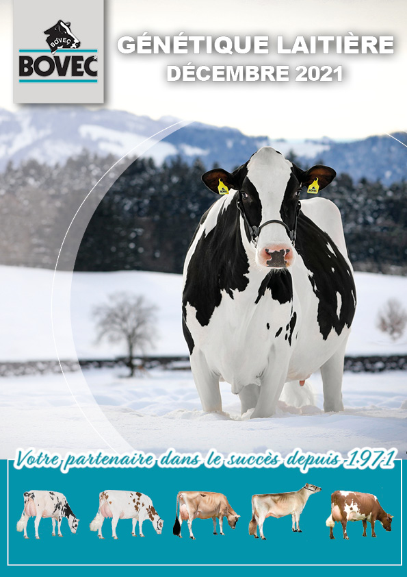 Catalogue Dairy Décembre 2021