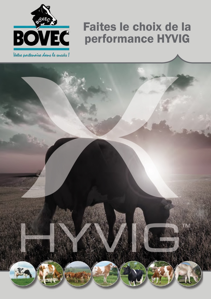 Catalogue HYVIG 2020