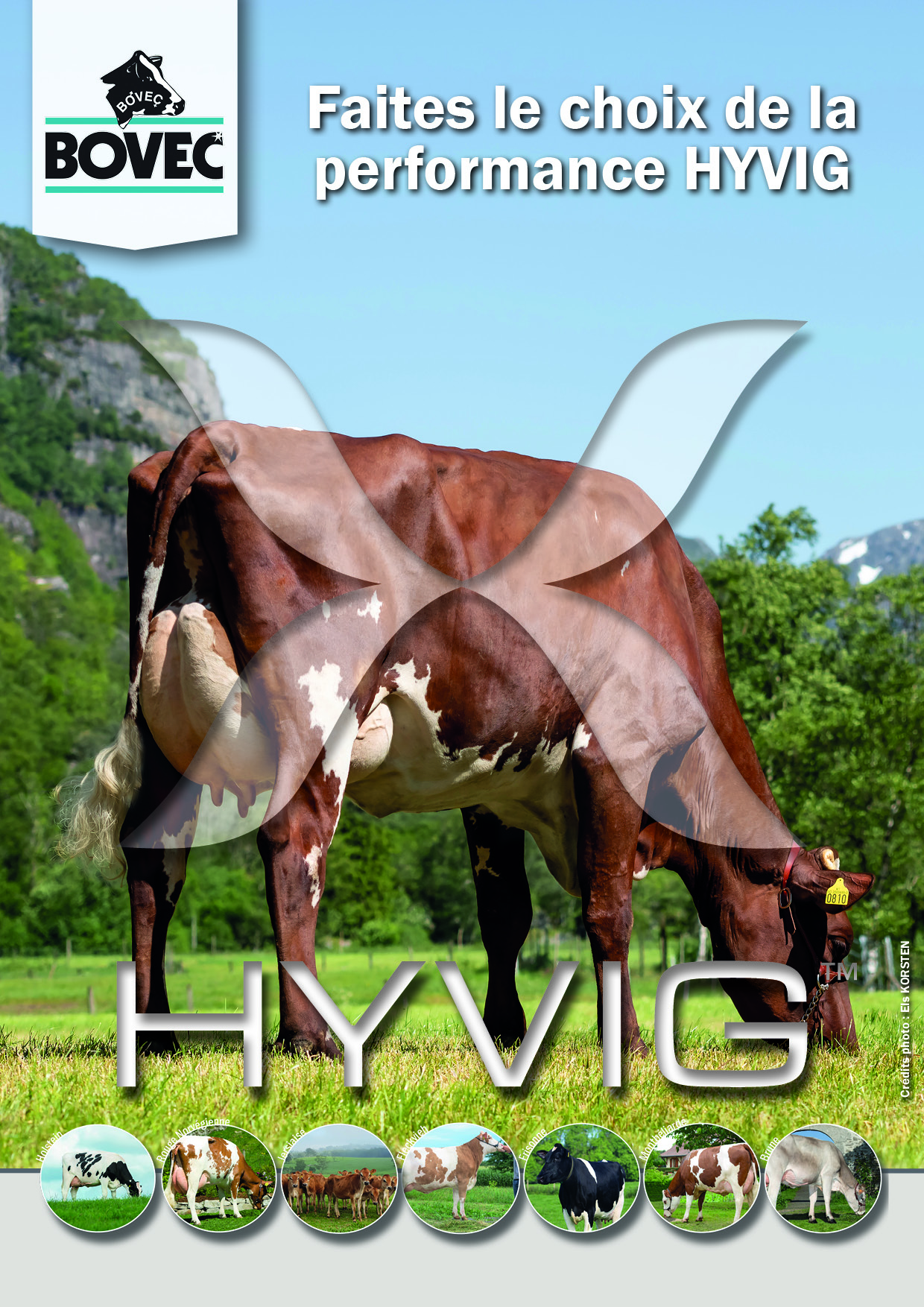 Catalogue HYVIG 2023