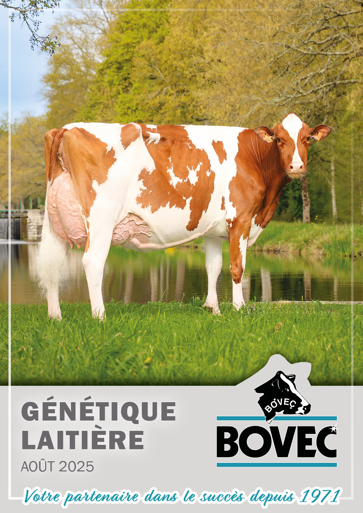dairy aout