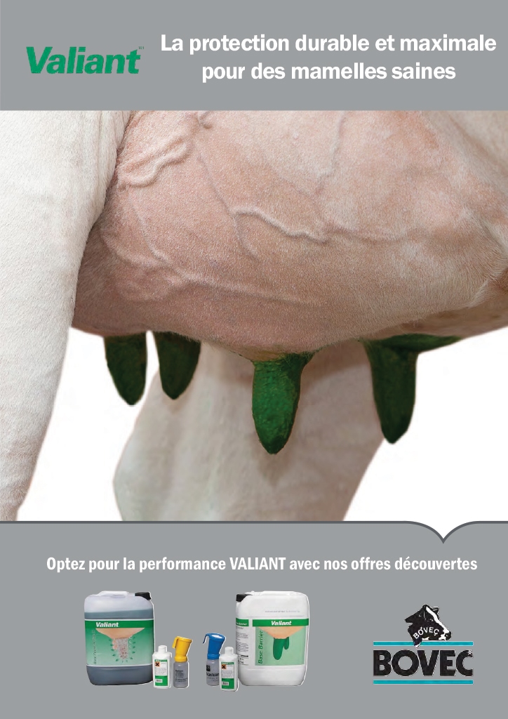Flyer Vaillant