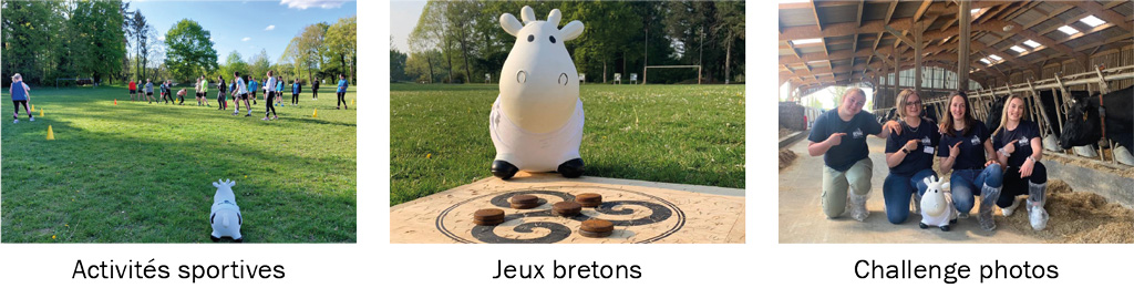 Animations