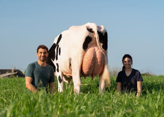 GAEC Poulot - AVRIL 2026 