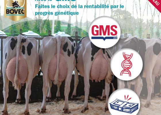 Avec le GMS+, faites le choix de la rentabilité par le progrès génétique
