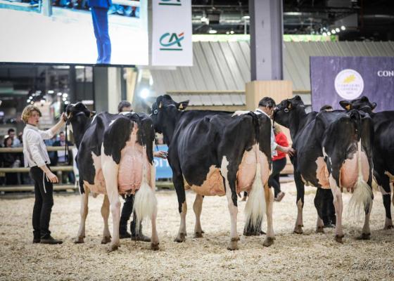 Salon International de l'Agriculture 