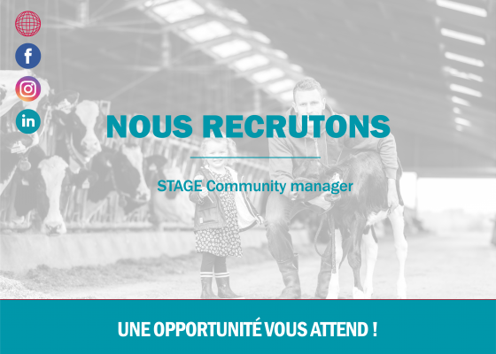 Stage Community Manager