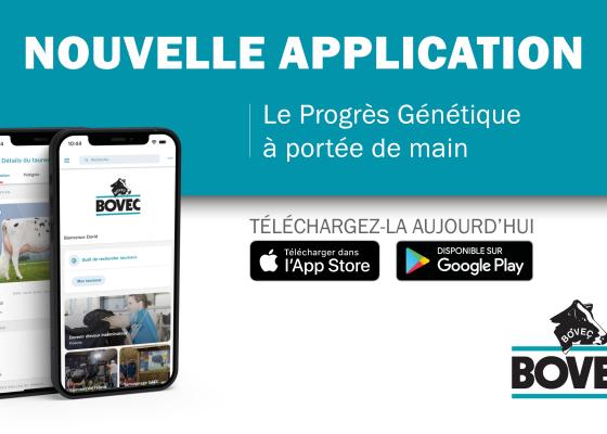 BOVEC app 