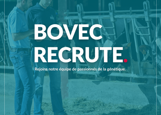 bovec recrute 