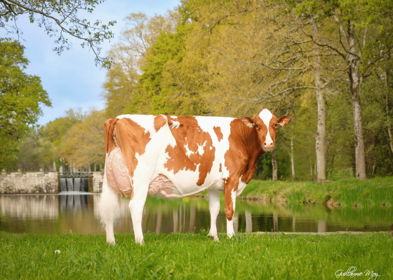 Dairy Aout25 