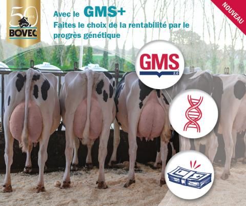 Avec le GMS+, faites le choix de la rentabilité par le progrès génétique