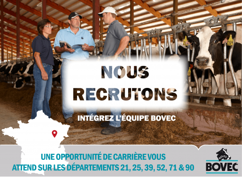 Offre d'emploi - Technico-commercial - Région EST